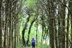 WhatsApp-Image-2024-07-14-at-17.38.10-1