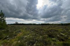 WhatsApp-Image-2024-07-14-at-17.38.16