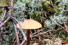 WhatsApp-Image-2024-07-14-at-17.38.17