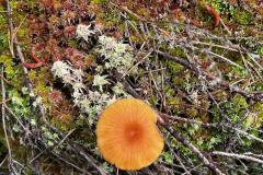 WhatsApp-Image-2024-07-14-at-22.20.00