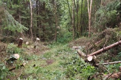 Anskert-Path-Restored-Sept-2026 3