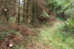 Anskert-Path-Restored-Sept-2026 5