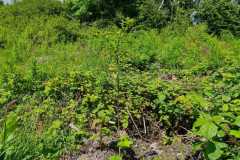 a7680560-5185-4cef-9351-c75c2c845a17